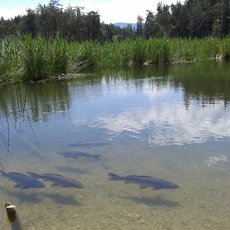 Гостевой дом Spiegl